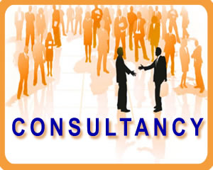 Consultancy Services